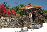 竹富観光センター