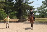 大山馬野背クラブ