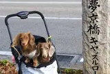 夢京橋キャッスルロード