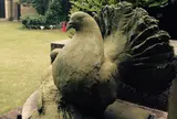 鳩山会館