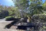 太郎川公園