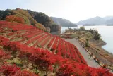 宮ケ瀬湖