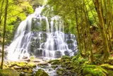 Nelson Falls
