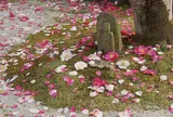 白毫寺　奈良