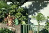 咖喱屋cafe エポック