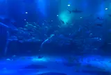 のとじま水族館　