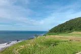白米千枚田