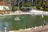 釣パラダイス