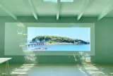 Brilliant Heart Museum