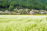 かやぶきの里