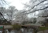 文庫の森