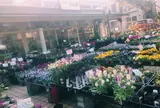 昌山園