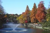 井の頭恩賜公園