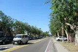 中興新村