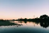 多摩川