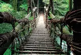 祖谷のかずら橋