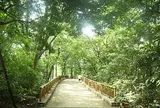 都立林試の森公園