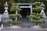 山上の見晴らしを期待して登ってみたものの