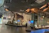 国立科学博物館
