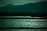 田園と伊吹山