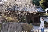 戸越銀座駅～戸越公園