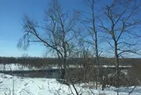 釧路湿原国立公園