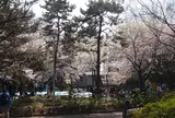有栖川宮記念公園