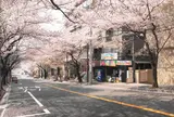 さぎ沼商店会