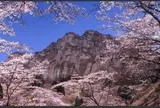妙義山さくらの里