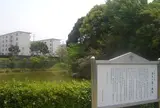 信太の森の鏡池史跡公園