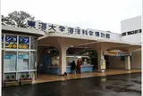 東海大学海洋科学博物館