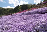 ヤマサ蒲鉾（株）