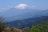 大野山