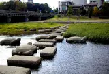 鴨川　出町柳デルタ