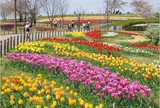 県営馬見丘陵公園　奈良