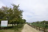 天野川緑地