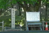 八幡山古墳