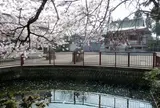 八雲神社