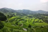 星峠の棚田