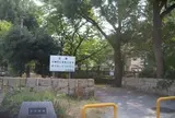 今川緑道