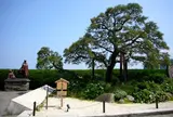 貫一お宮の像（お宮の松）