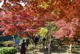 源氏山公園