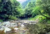霧の森