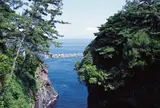 城ヶ崎海岸