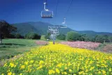黒姫高原