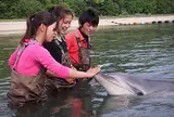 ドルフィンセンター