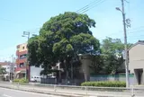 松虫塚