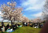 多摩川 北緑地公園