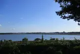 千葉県立印旛沼公園