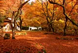 鰐淵寺